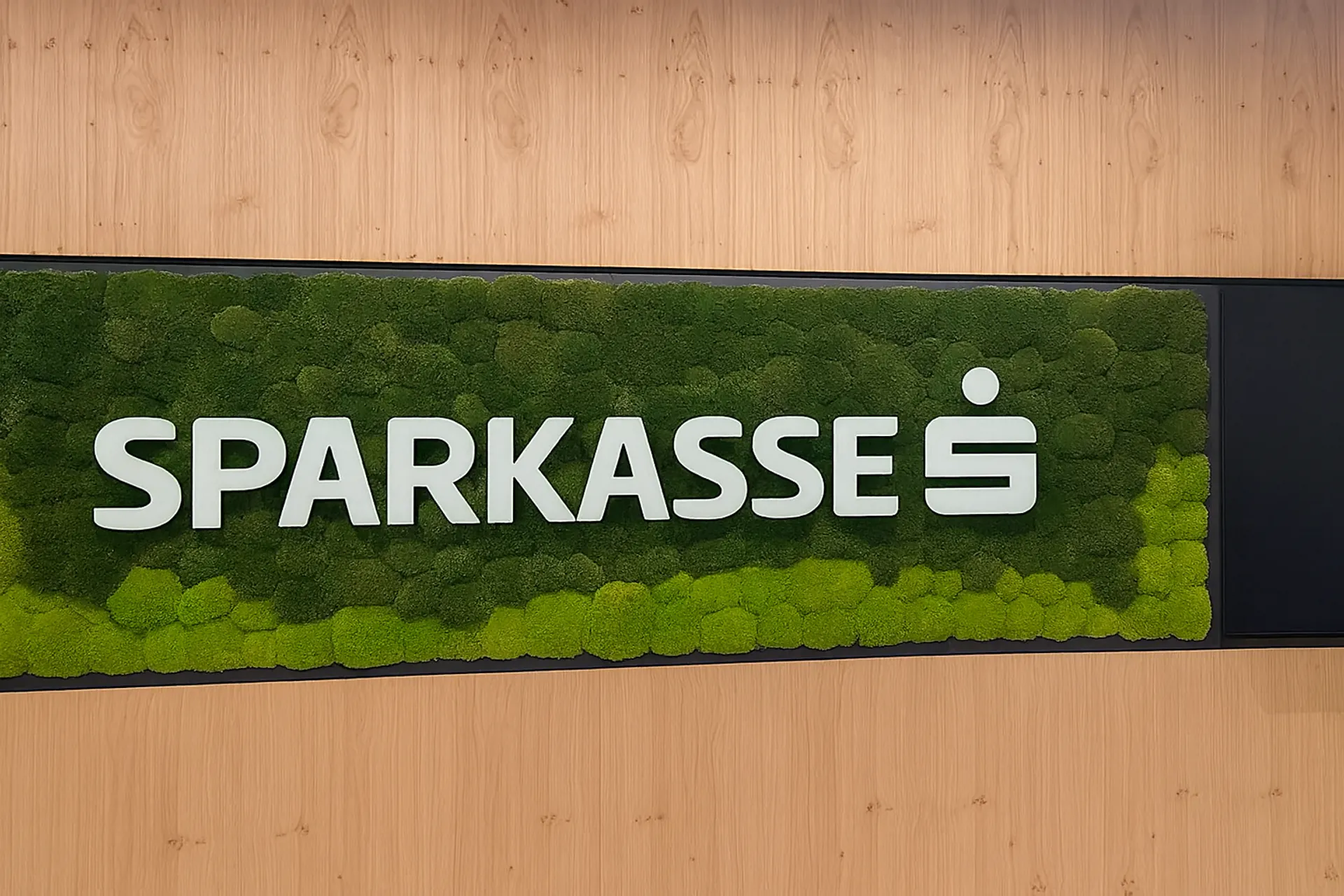 Logo made from moss: Sparkasse Moos logo — Logo made from moss by MOOSMOOS