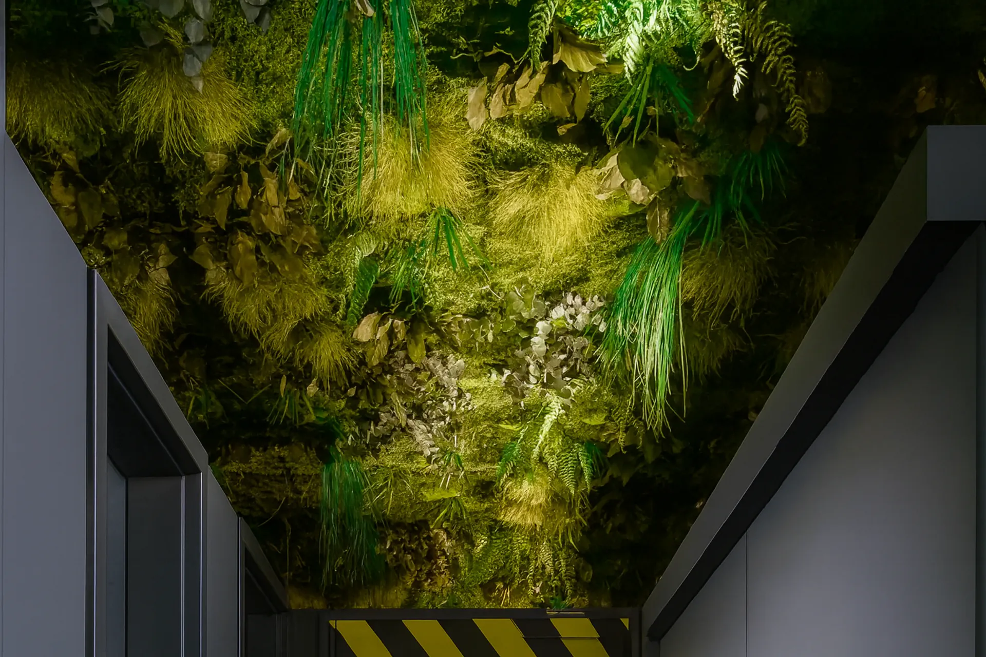 Hanging Garden Office Ceiling Installation — Ceiling greenery by MOOSMOOS