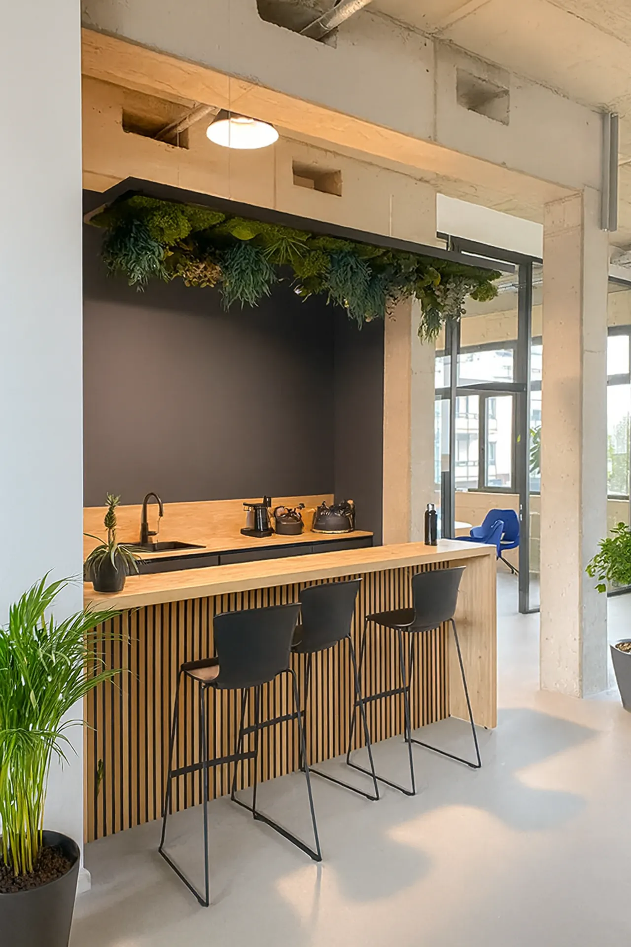 Moss ceilings, green office, kitchen, counter — Ceiling greenery by MOOSMOOS