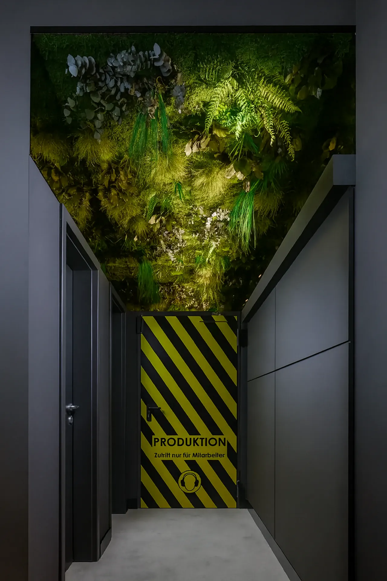 Moss ceiling Showroom Installation — Ceiling greenery by MOOSMOOS