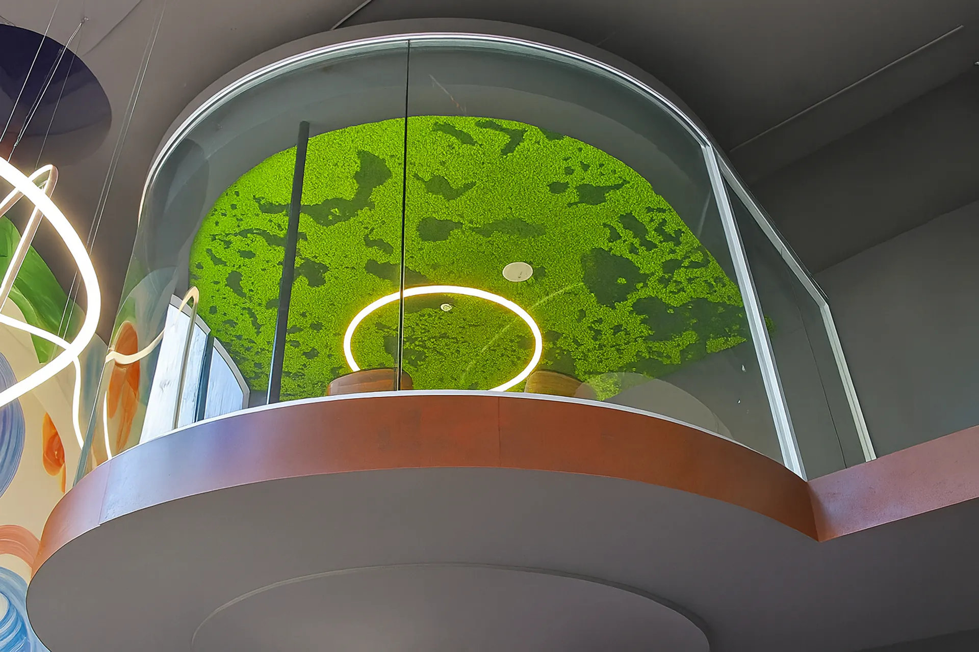Moss ceiling Showroom Moderne — Ceiling greenery by MOOSMOOS