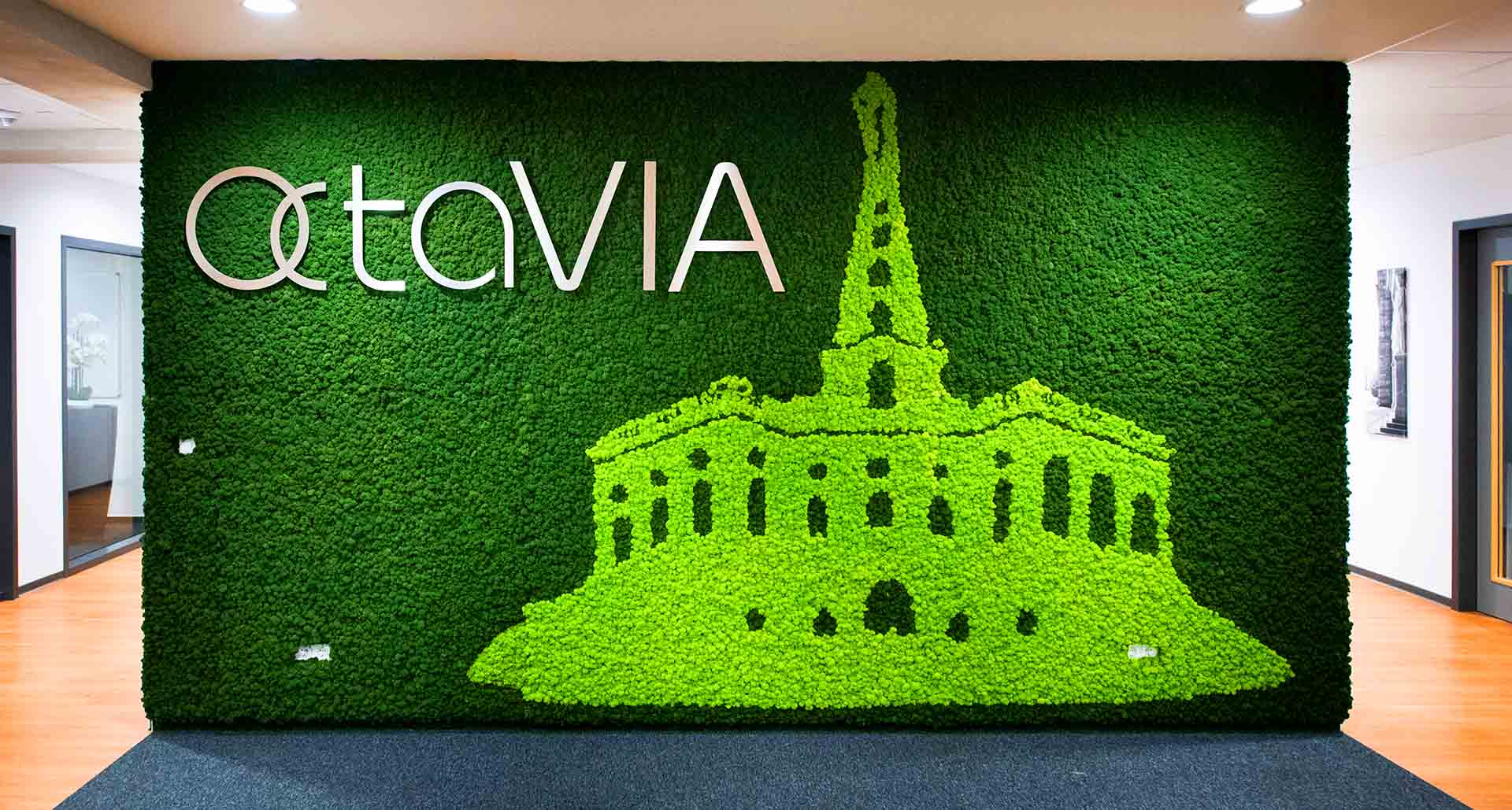 Mooswand aus Islandmoos mit Logo Octavia