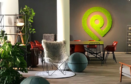 Logo in Islandmoos in Office