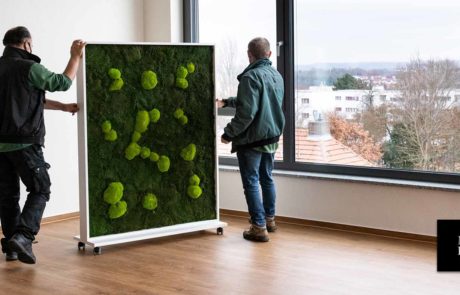 mobiler Raumteiler aus Waldmoos und Ballenmoos