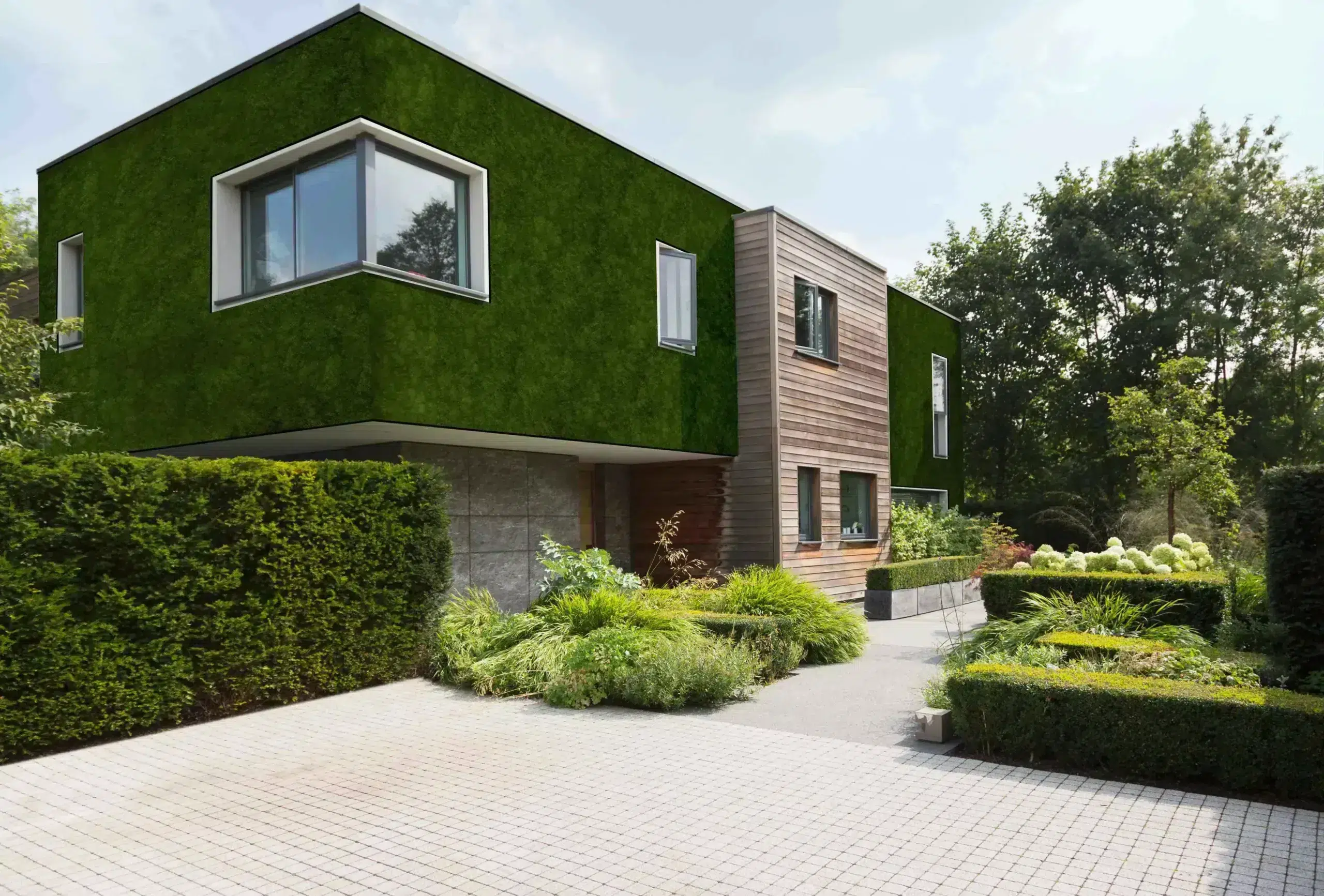 Villa_Fassadenbegrünung
