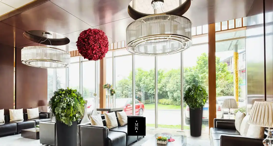 a room with a couch and plants