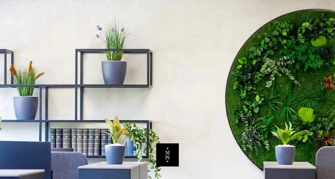 plants in a room with a wall and shelves