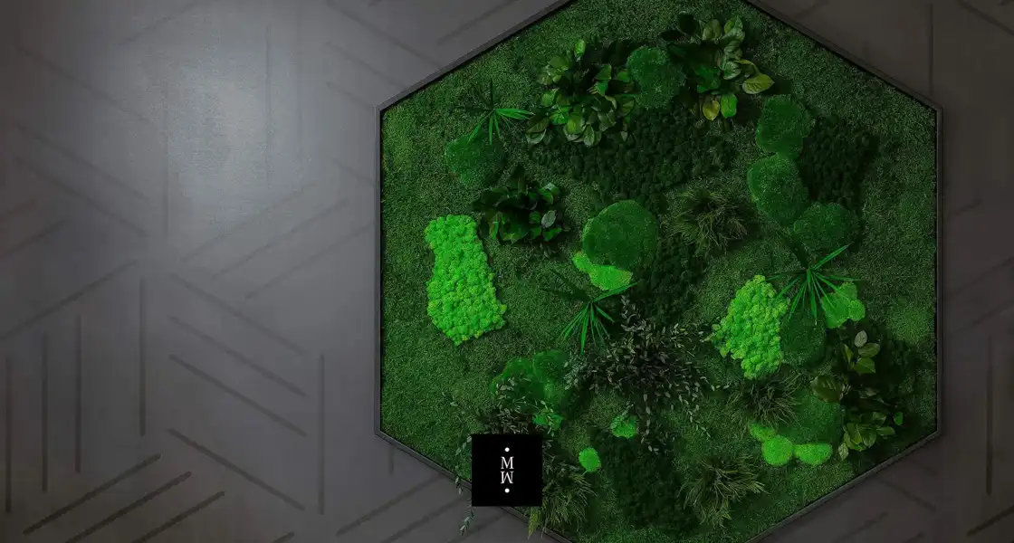 a green plant on a wall