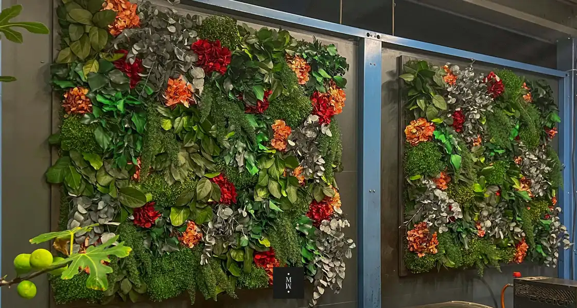 a wall with plants on it