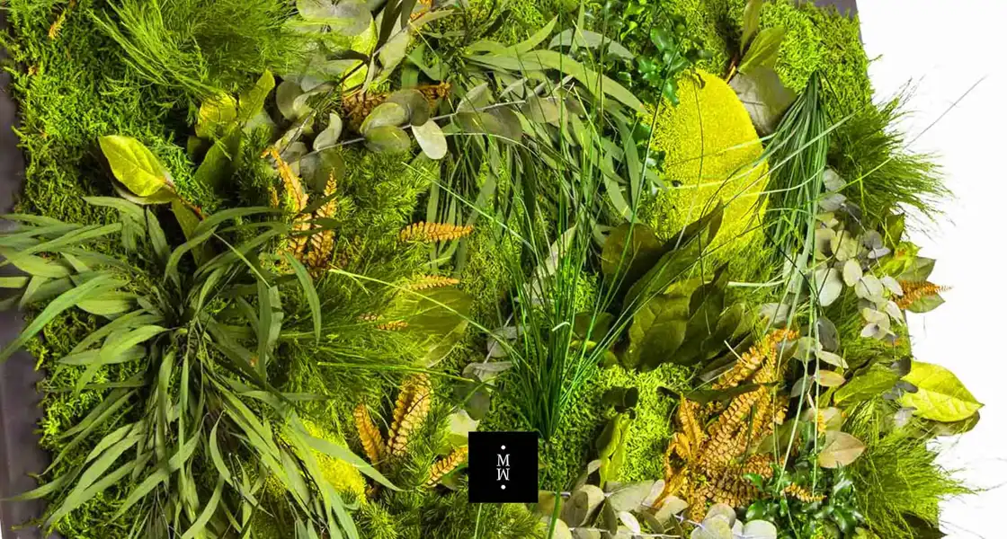 a group of plants and leaves