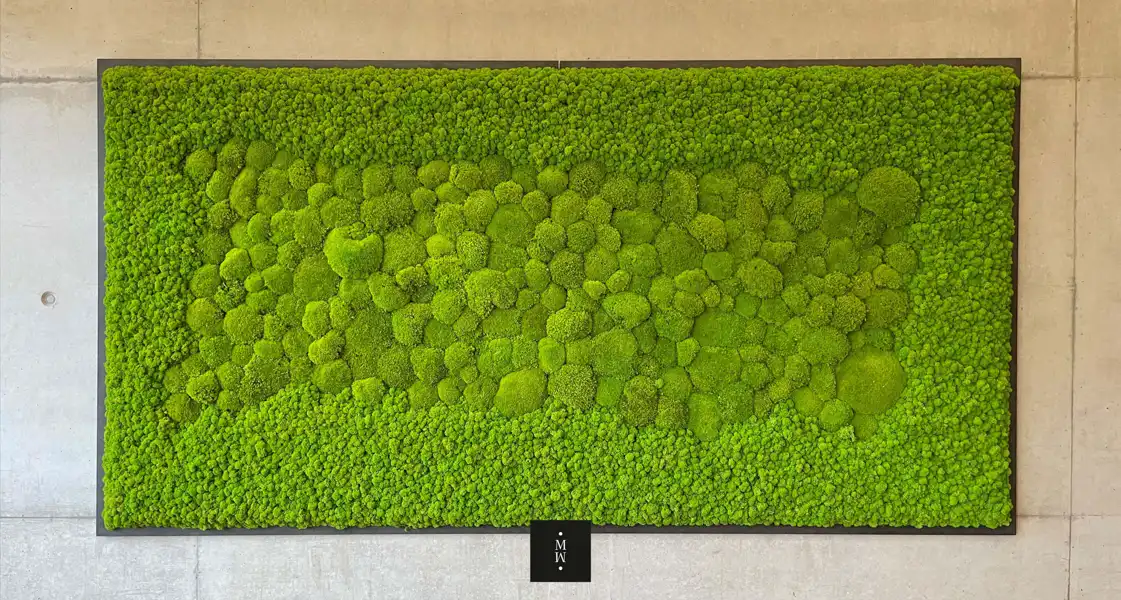 a green wall with many small rocks