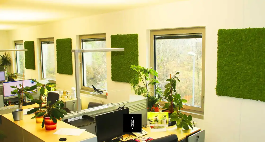 a room with plants and windows