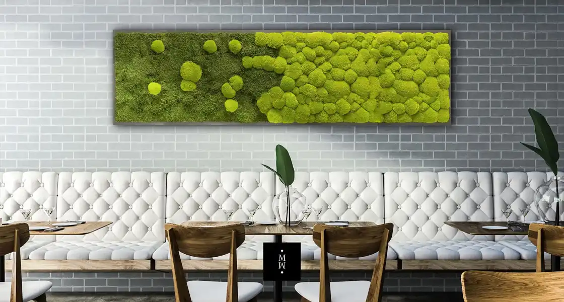 a long rectangular picture of moss on a wall