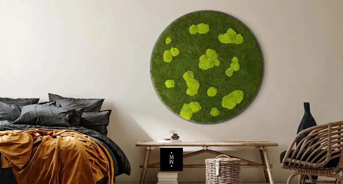 a green circle on a wall
