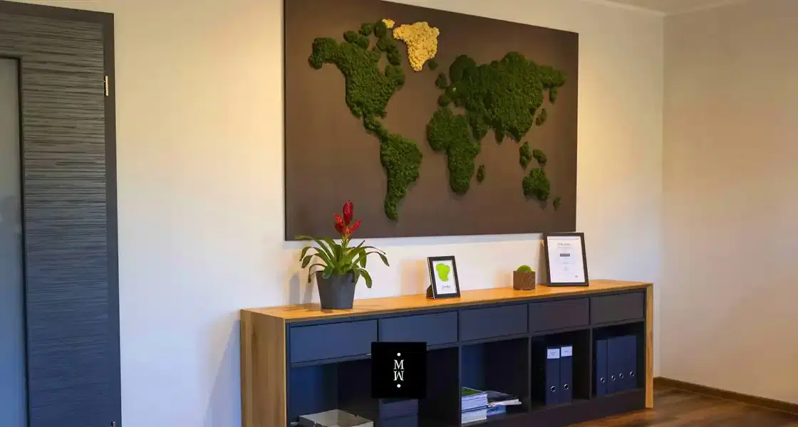 a wall with a map of the world on it
