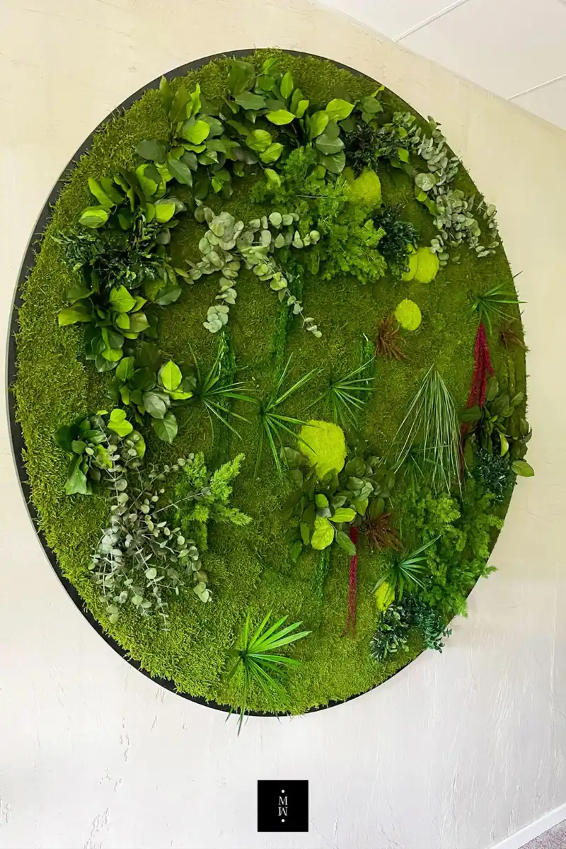 a green plant on a wall