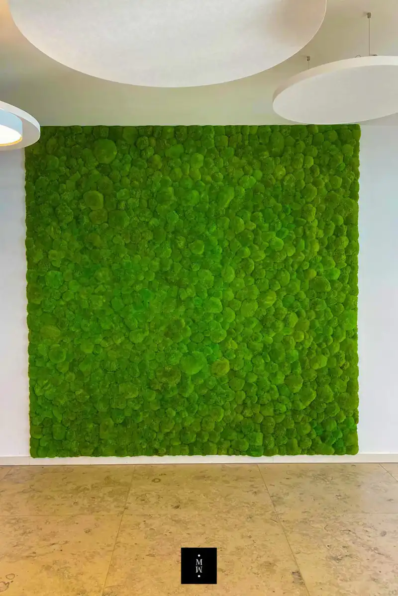 a green wall with white walls and white ceiling