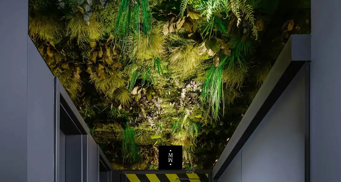 a green ceiling with plants