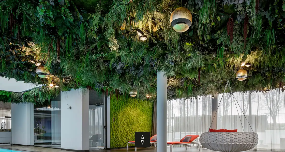 a green ceiling with plants from the ceiling