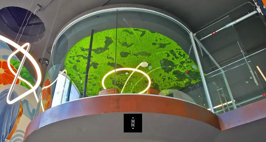 a green plant in a glass case