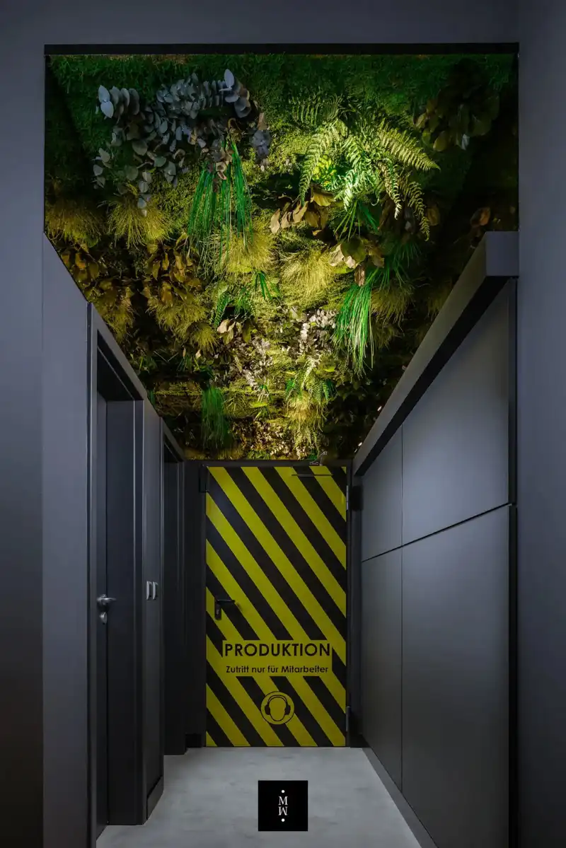 a green plants on the ceiling