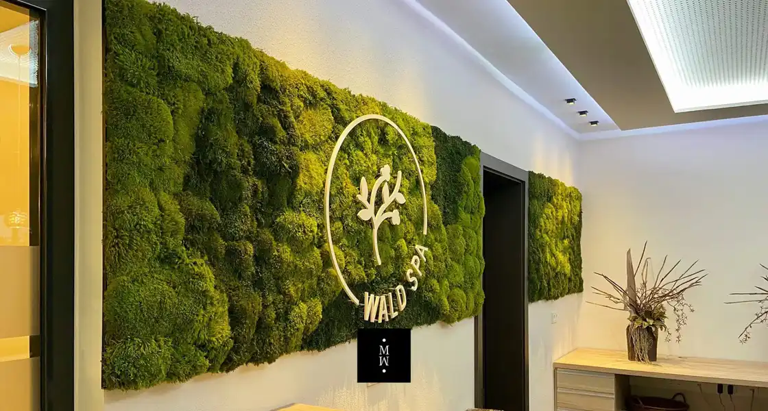 a wall with moss on it