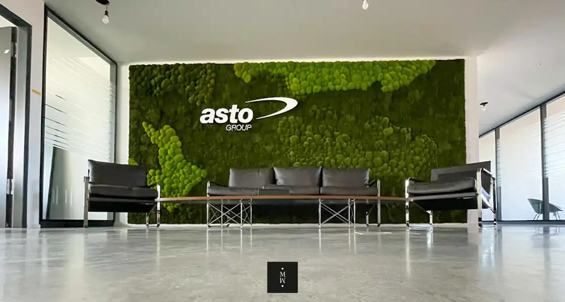 a group of chairs in front of a green wall