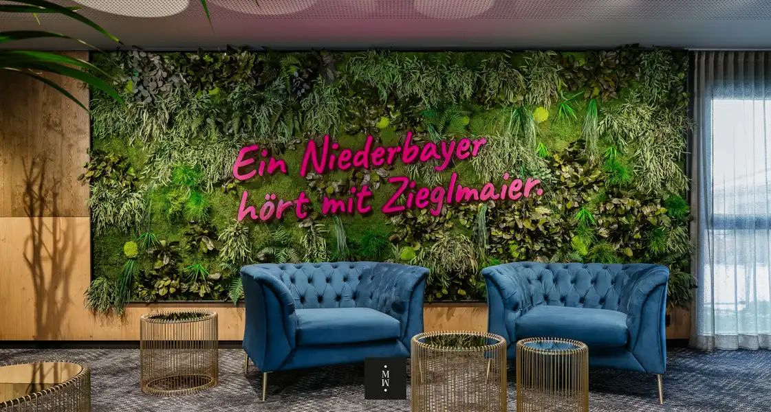 a room with plants and chairs