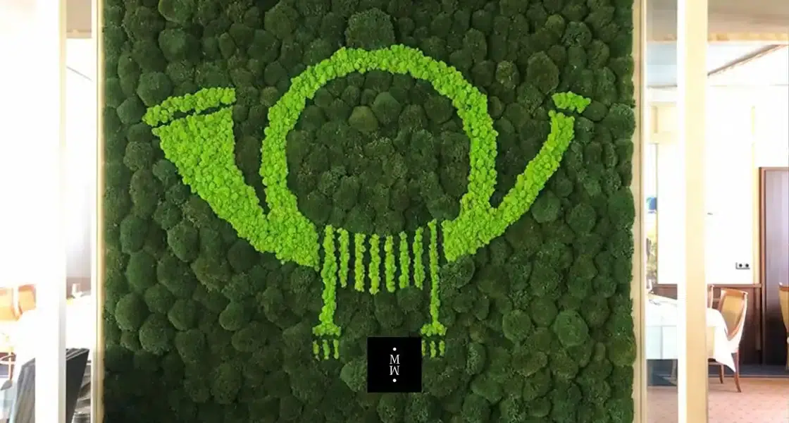 a green plant with a circle and a black square