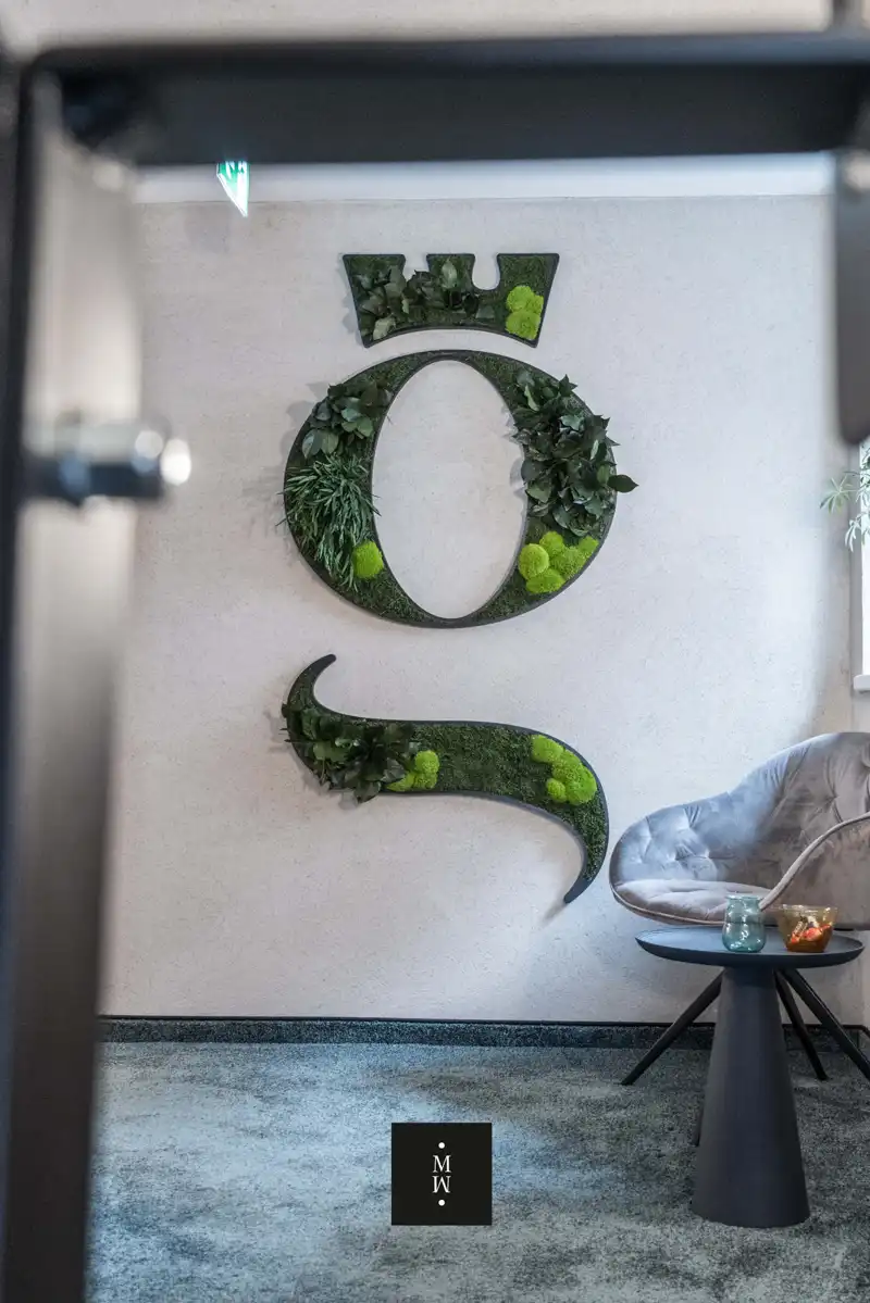 a wall with plants on it