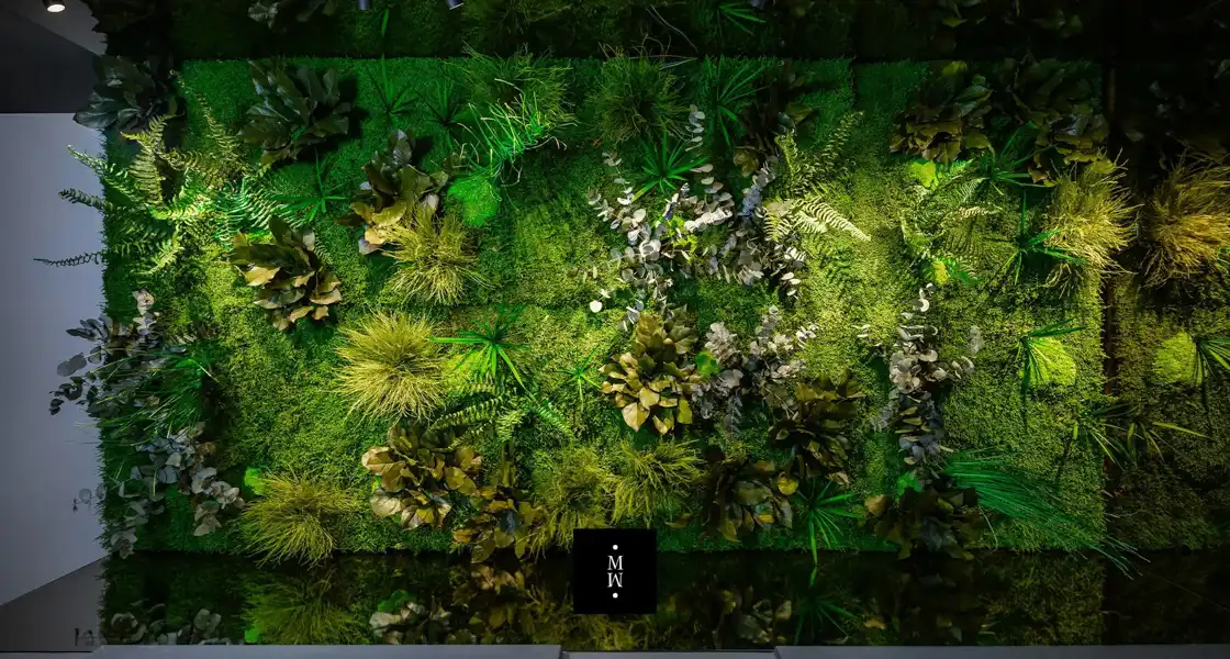 a green wall with plants