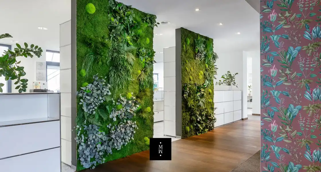 a wall with plants on it