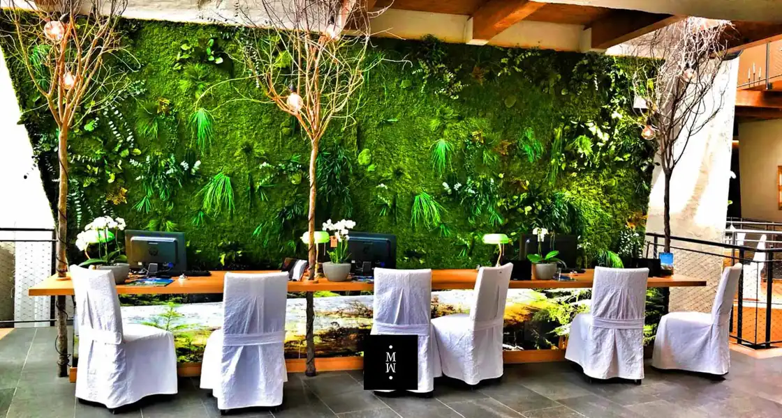 a room with white chairs and a tree