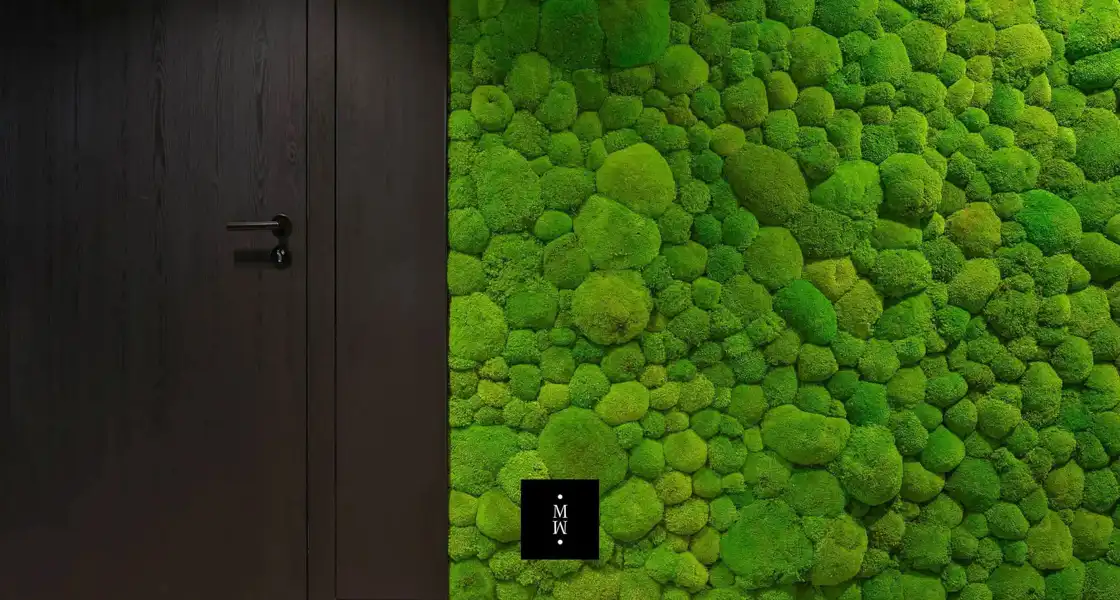 a door and a wall with moss