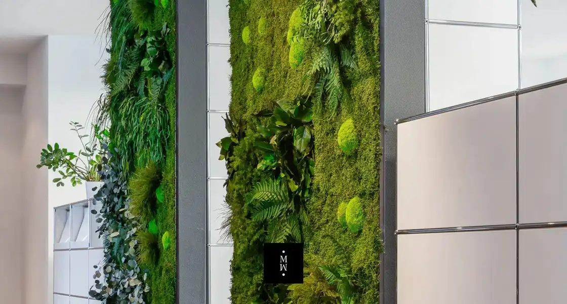 a wall with plants and plants on it