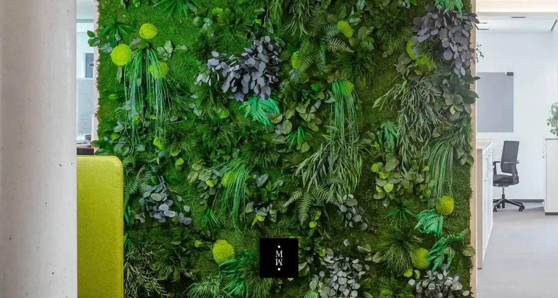 a wall of plants and plants