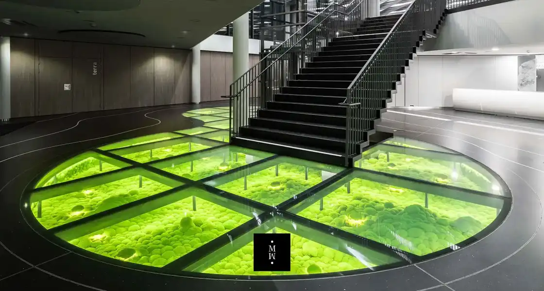a staircase with green balls in the floor