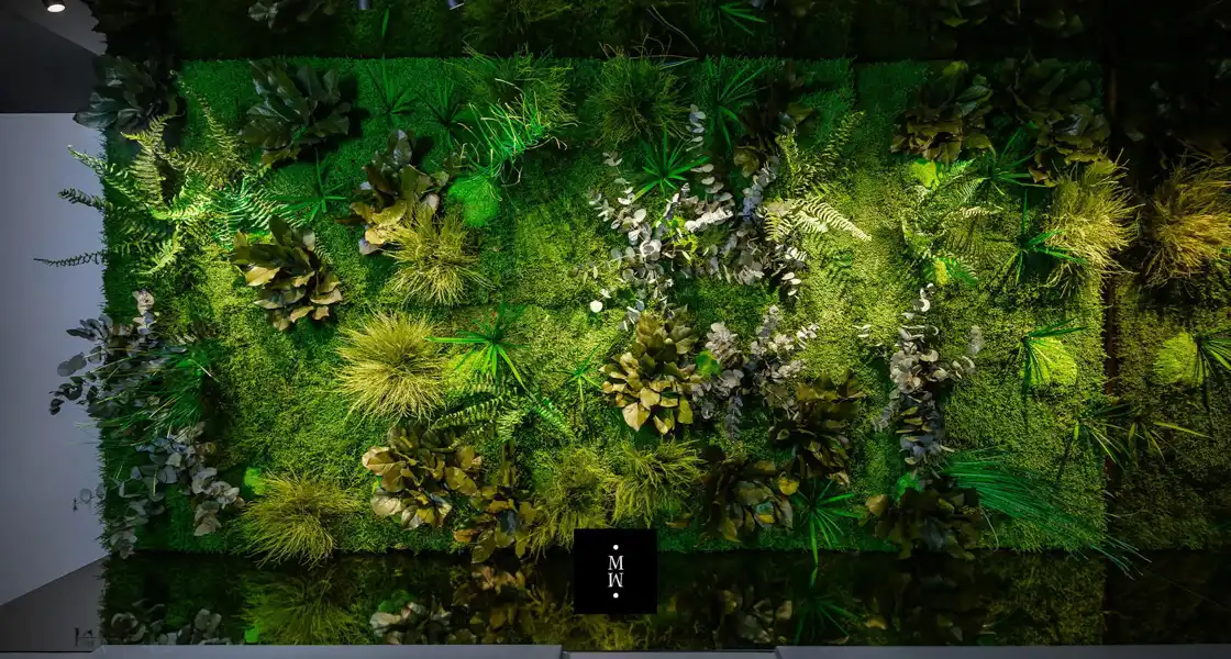 a green wall with plants