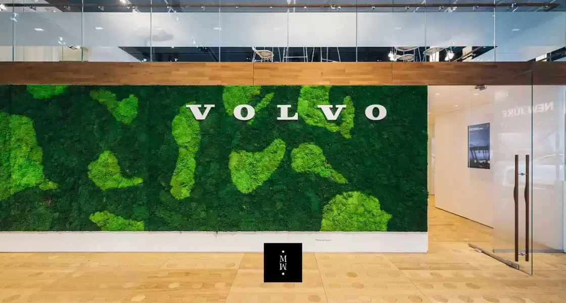 a green wall with white letters