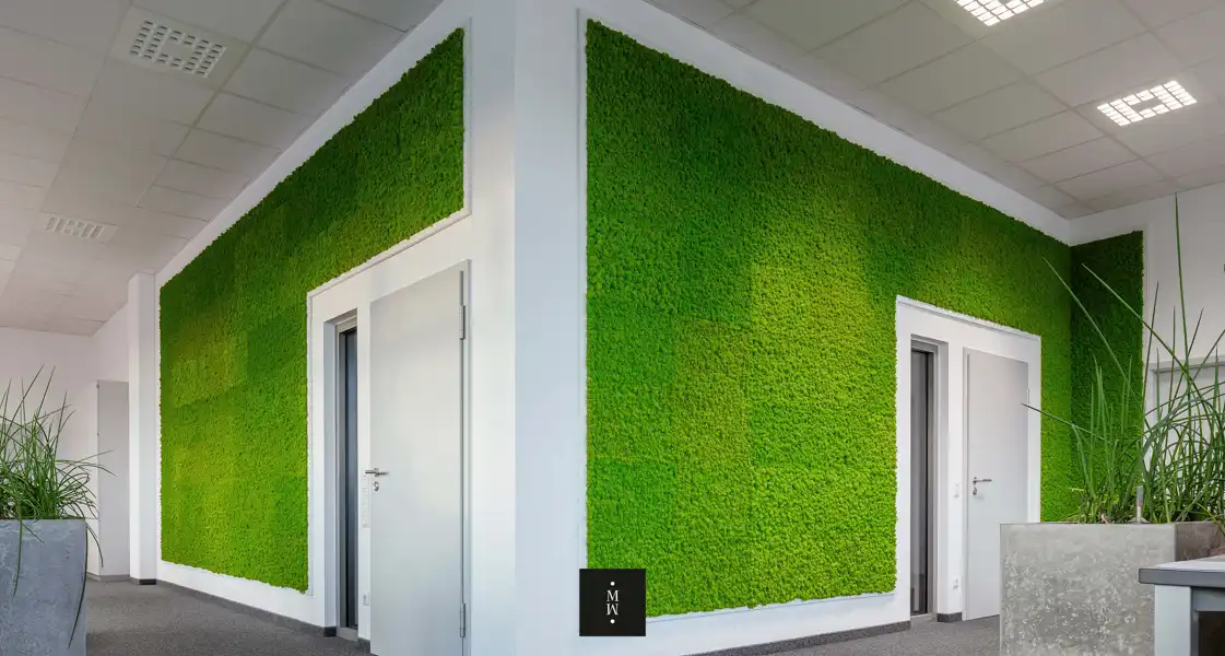 a green wall with white doors