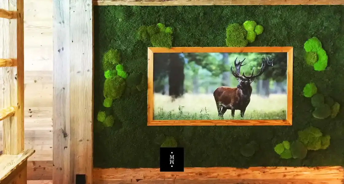 a picture of a deer on a wall