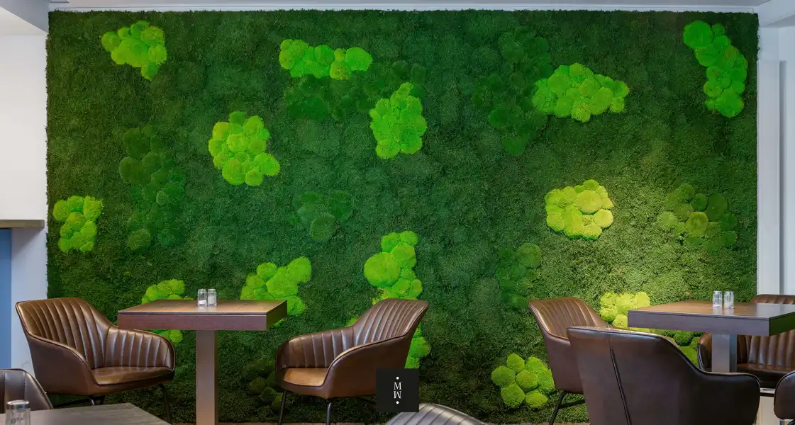 a green wall with chairs and a table