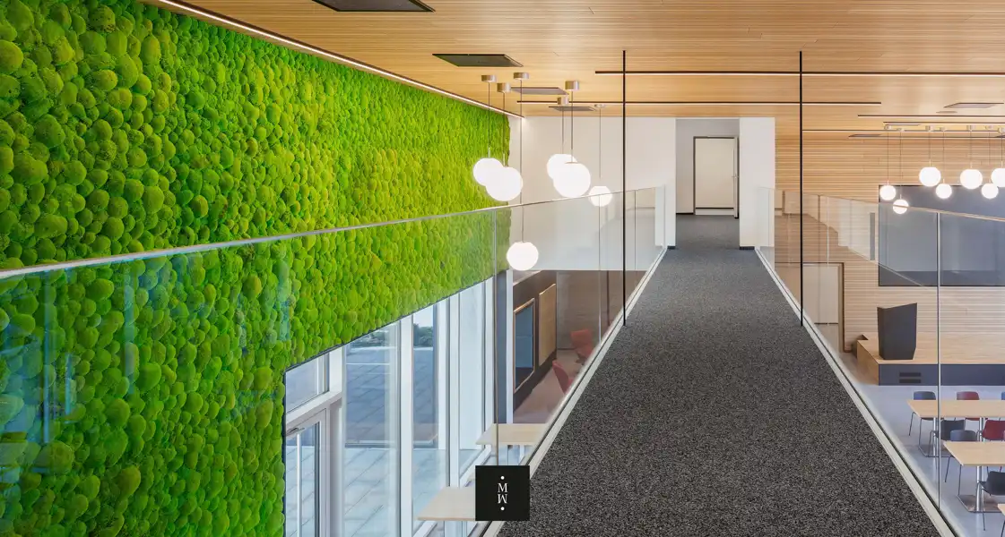 a hallway with a green wall and glass railings