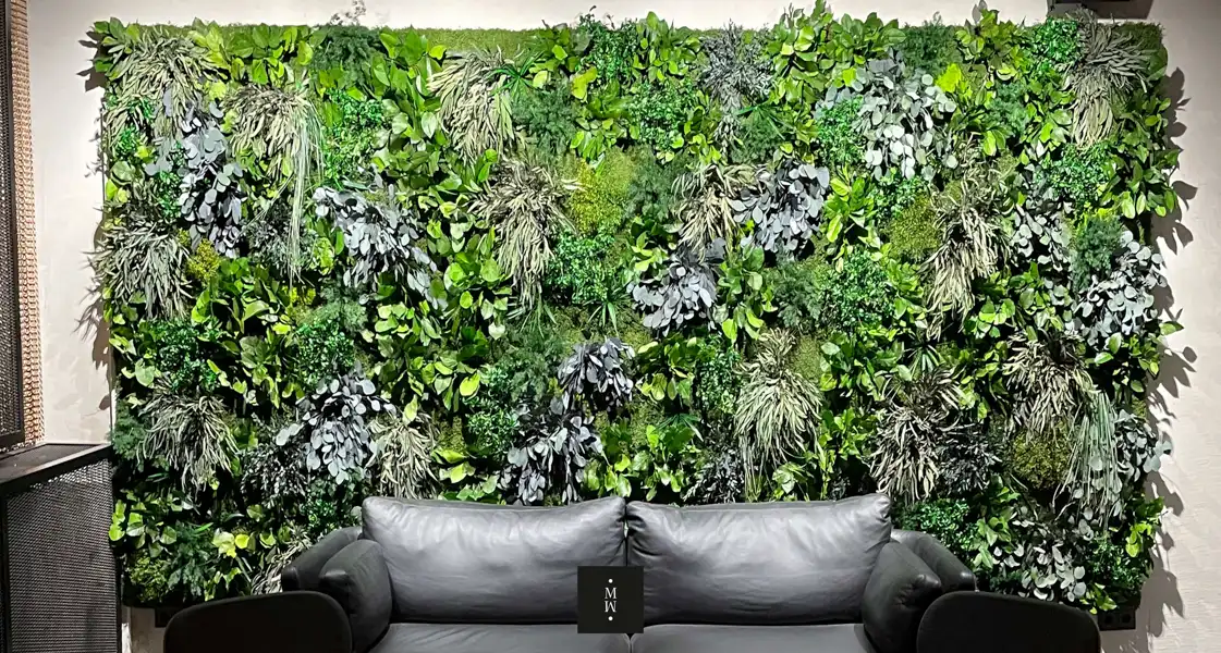 a couch and sofa with plants on the wall
