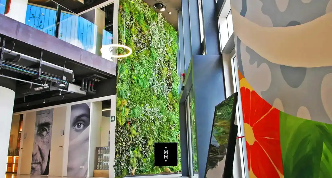 a green wall in a building