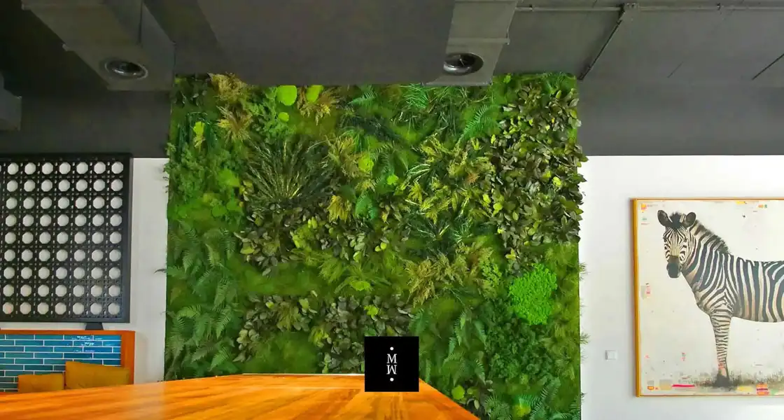 a wall with plants on it