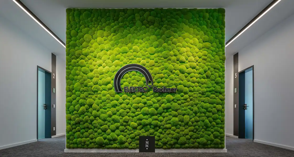 a green wall with a logo