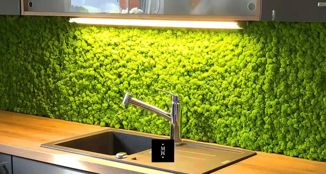 a sink with a green wall behind it
