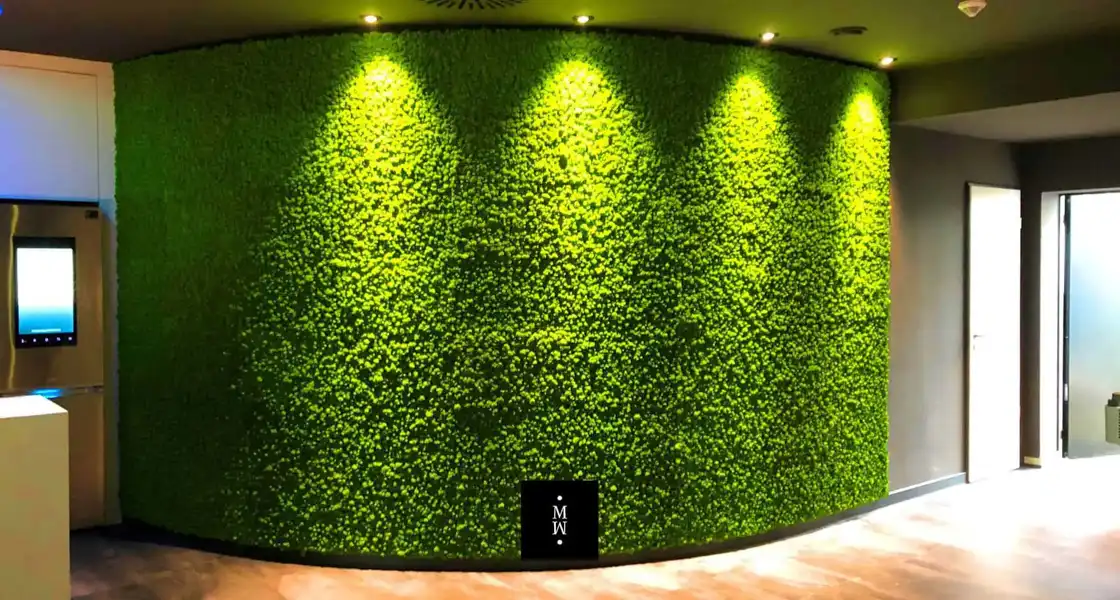 a green wall with lights