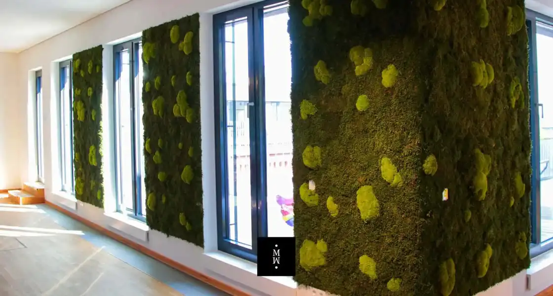 a wall covered with moss